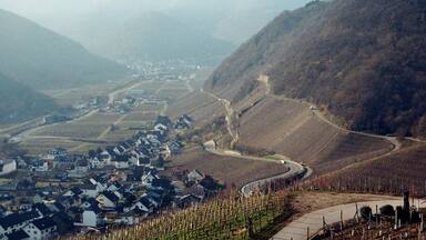 Dernau, the red wine hiking trail