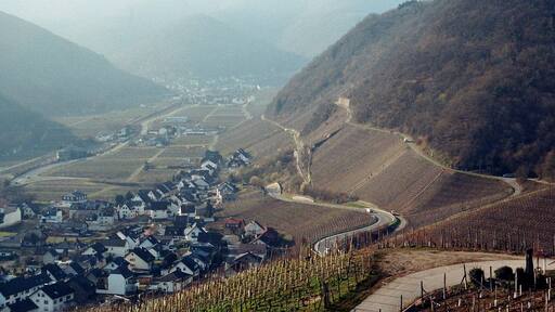 Dernau, the red wine hiking trail
