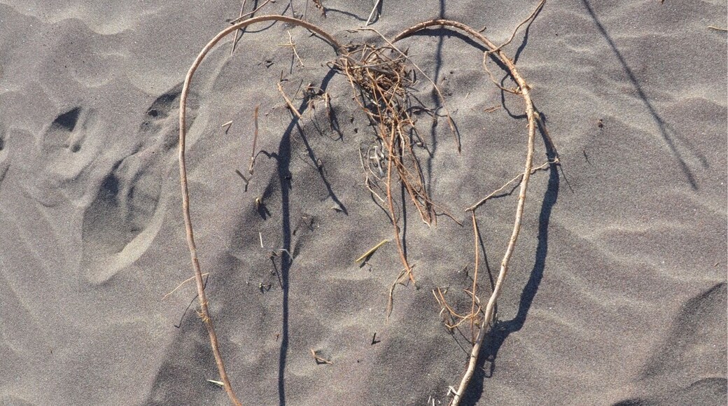 I found my heart at Long Point beach ! #BeachBound #Canada
