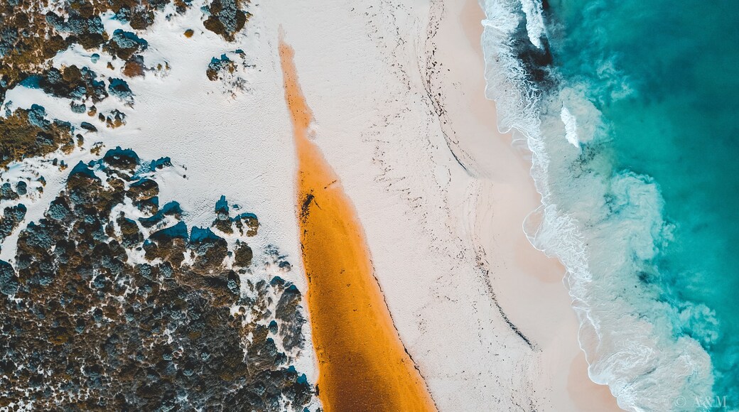 Aerial view of where the river meets the sea. Vibrant orange and dark river meet turquoise sea waves on beach in Western Australian town called Guilderton.