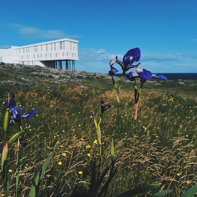 My favourite part of my Newfoundland #adventure was exploring Fogo Island!