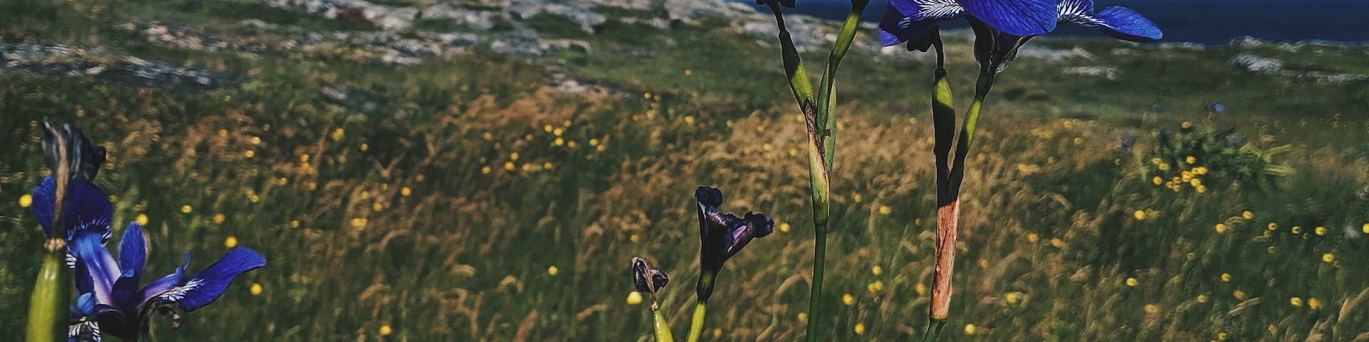My favourite part of my Newfoundland #adventure was exploring Fogo Island!