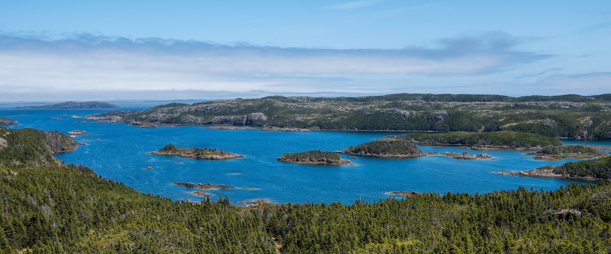 A coastal landscape with a large body of water, surrounded by dense forests and rocky outcrops.