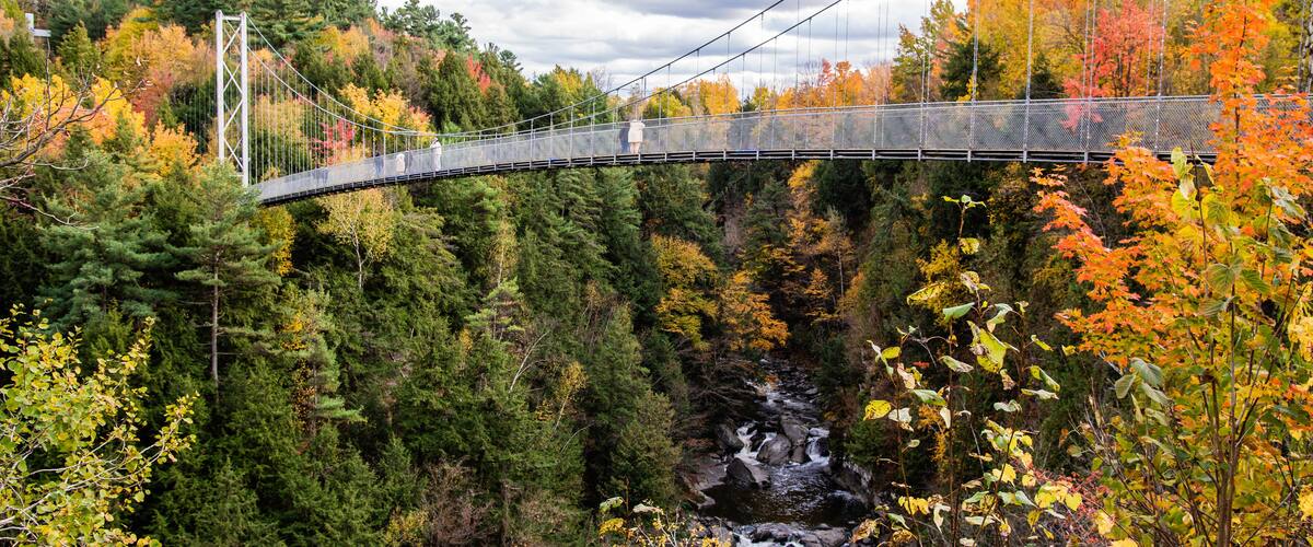 A suspension bridge over a forested gorge with autumn foliage.