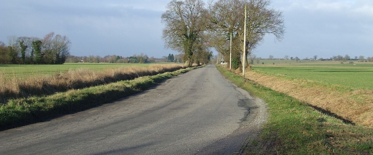 A rural road flanked by fields and trees under a clear sky.