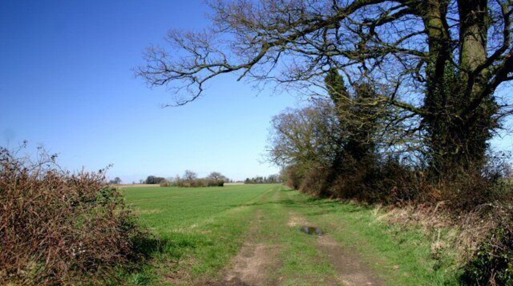 Track to Kenninghall Heath This track leads north from the minor road between North Lopham and East Harling.