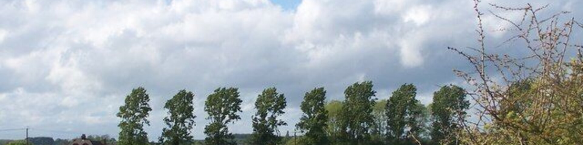 Trees feeling the force of the wind, near to Tingrith, Bedfordshire, Great Britain. strong winds blowing from left to right