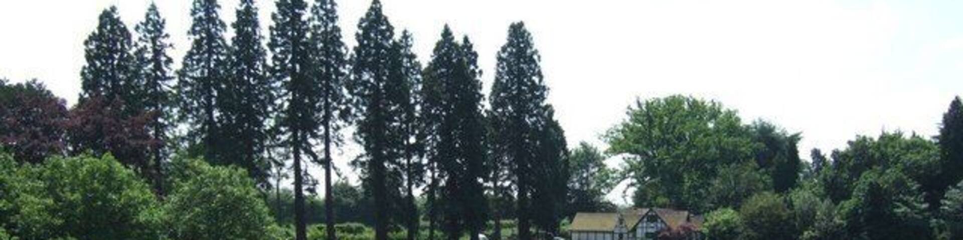 Little Grove from near Grove Farm. Taken from the lane to Fox Meadow Cattery looking back towards Little Grove in the adjacent square.