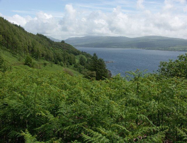 A lake surrounded by green hills and dense forests.