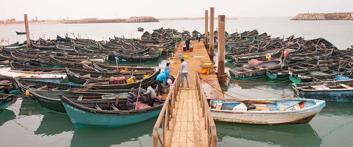 A dock with numerous small boats, a wooden pier, and calm water.