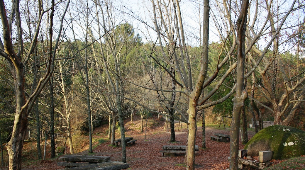Parque recreativo dos Agueiros - Merendero