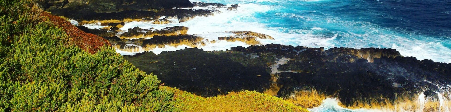 A place where u can enjoy the sea breeze, spot penguins resting in their nest during the day and await for the penguin parade at night. 🐧🐧🐧