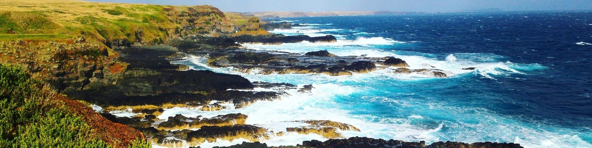 A place where u can enjoy the sea breeze, spot penguins resting in their nest during the day and await for the penguin parade at night. 🐧🐧🐧