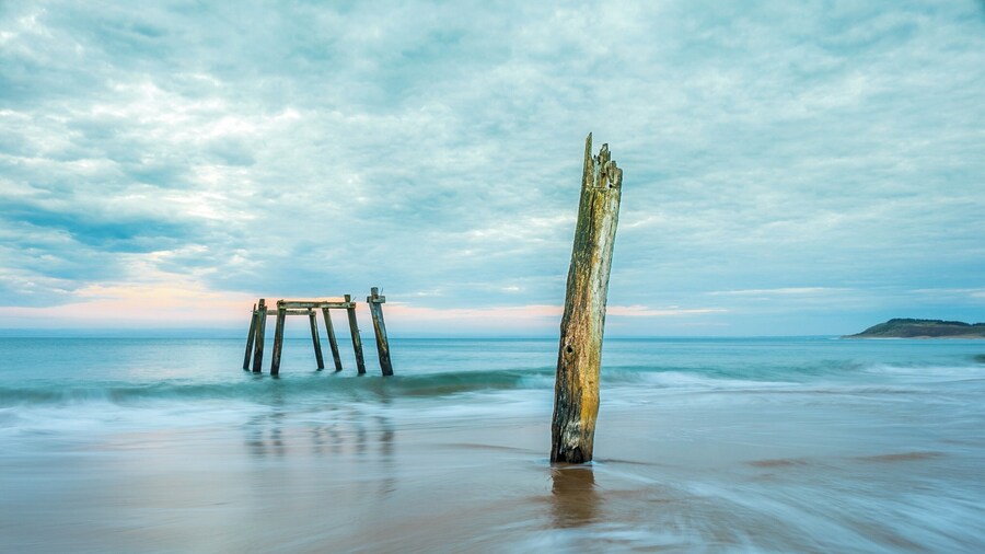 Chicago botanic garden