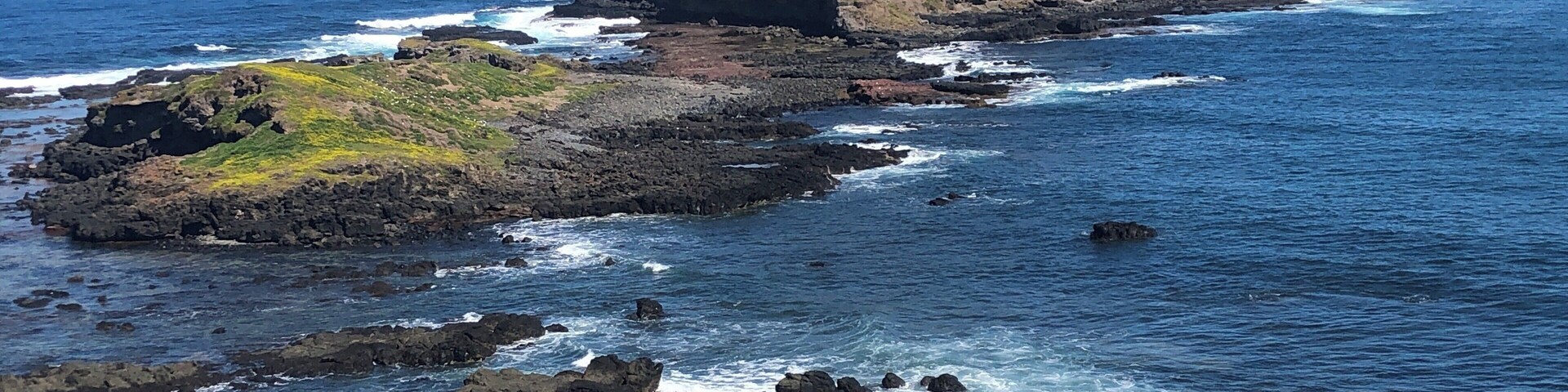 The Nobbies Philip Island.