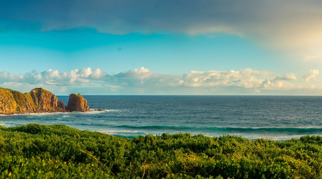 Panorama of Cape Woolamai beach showing the Pinnacles rock formation at sunset, Phillip Island, Australia