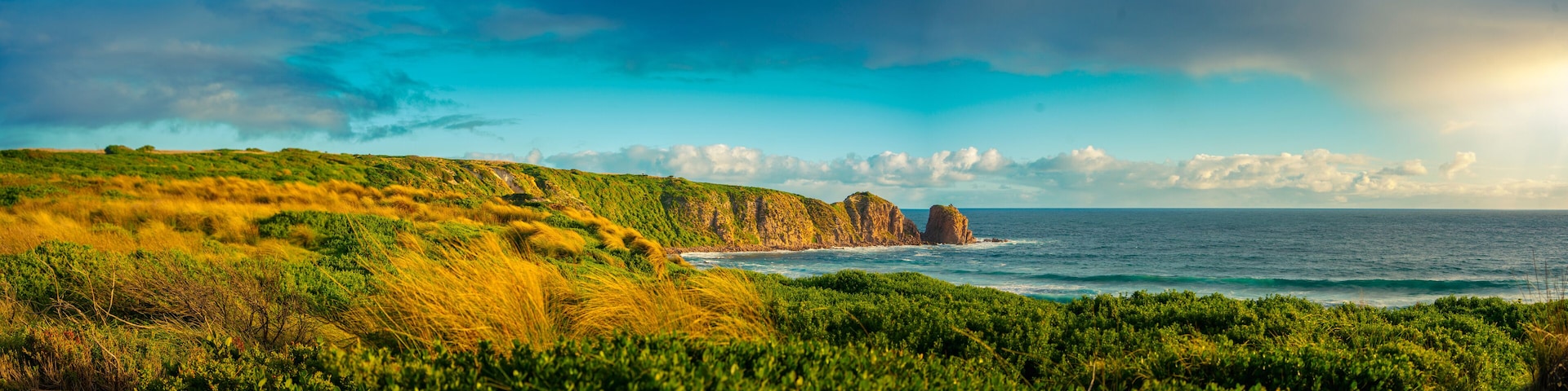 Un paisaje costero con colinas verdes, un litoral rocoso y el océano.