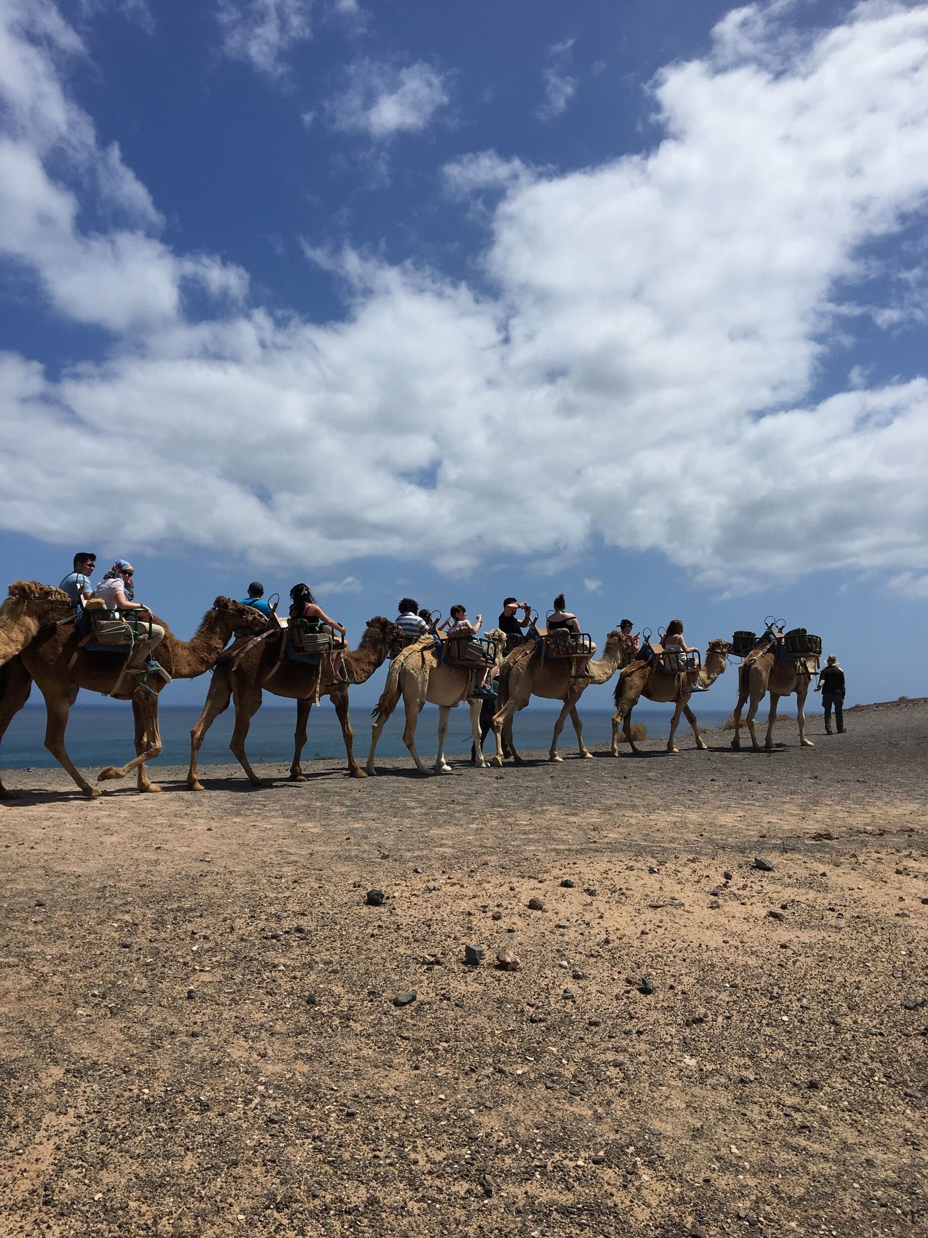 Um grupo de pessoas a cavalgar camelos numa praia com céu limpo.