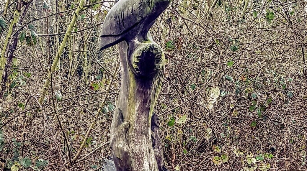 Tree carvings at Ladybelt Country Park