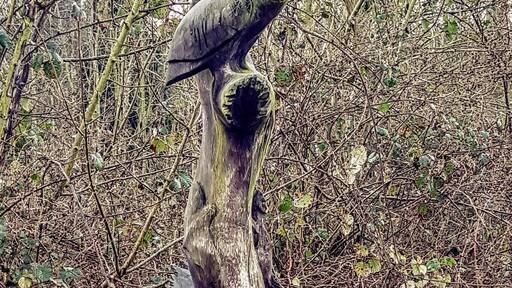 Tree carvings at Ladybelt Country Park