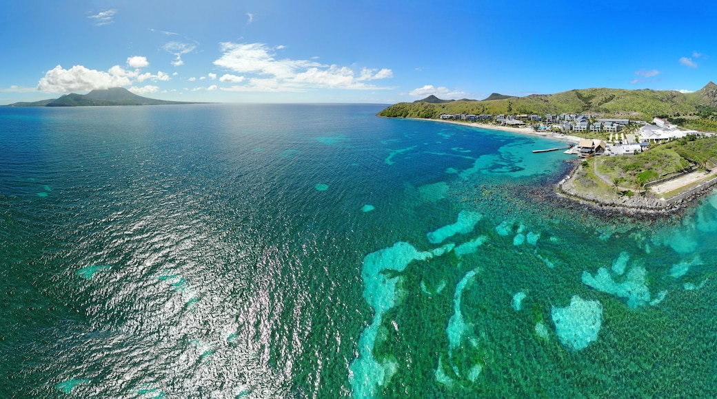 Cotton Ground