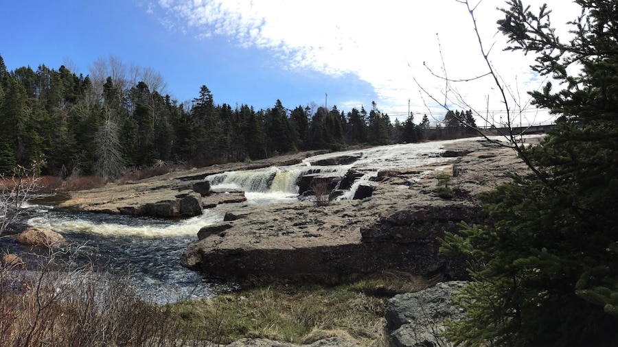 A beautiful day on Manuels River in Conception Bay, Newfoundland