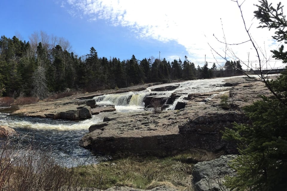 Un río que fluye sobre rocas con una cascada, rodeado de un bosque.