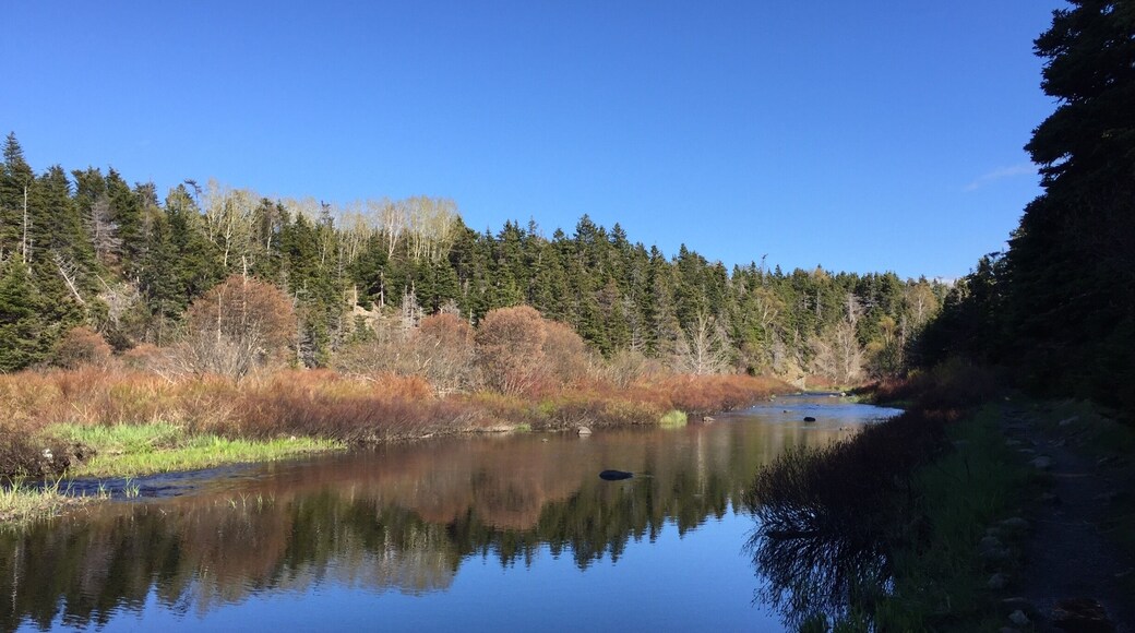 Beautiful evening on Manuals River
