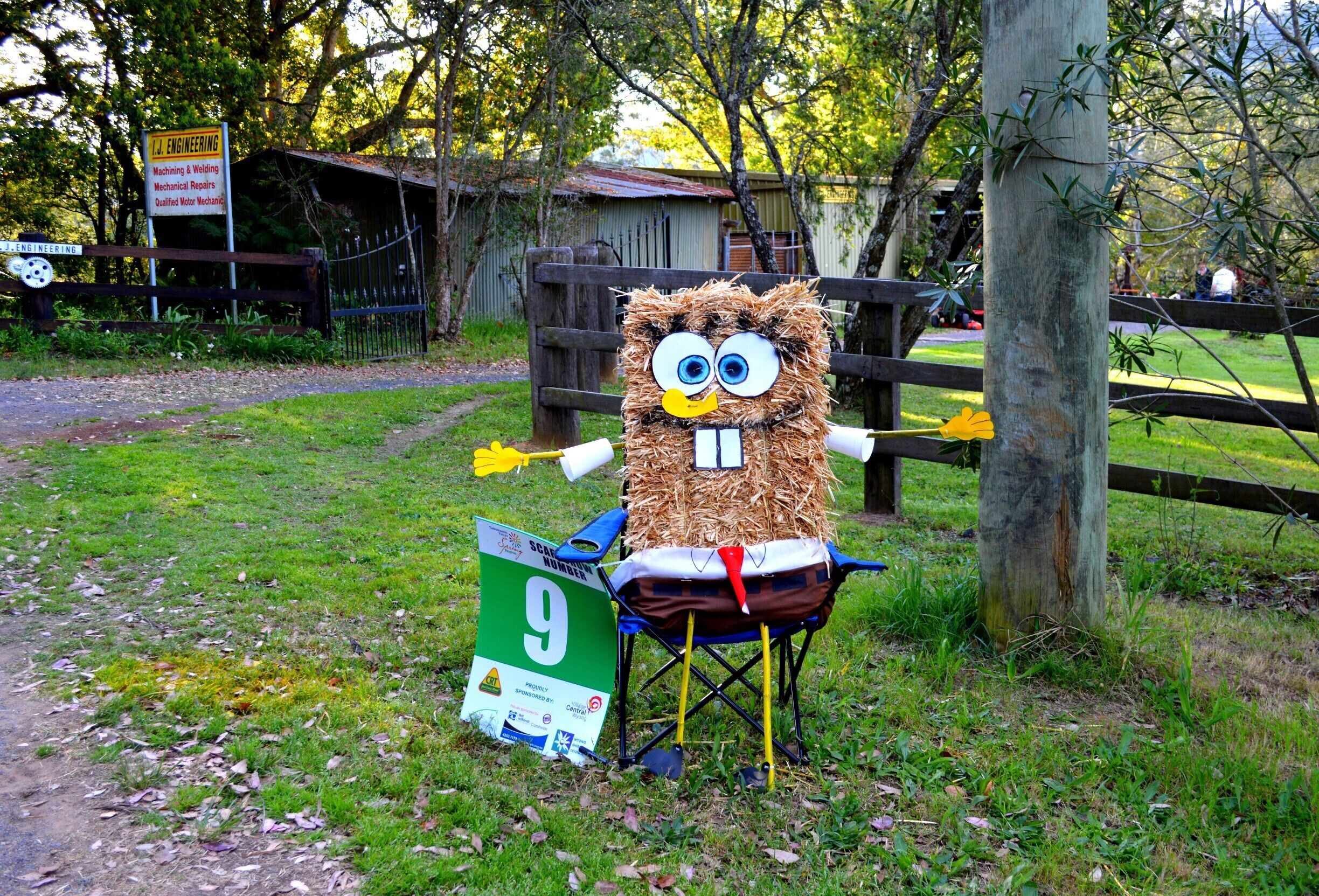 Spring is in the air and the Yarramalong Spring Festival celebrations are under way.  The Community hold a scarecrow competition and you can vote on your favourite. This is my kids favourite. 