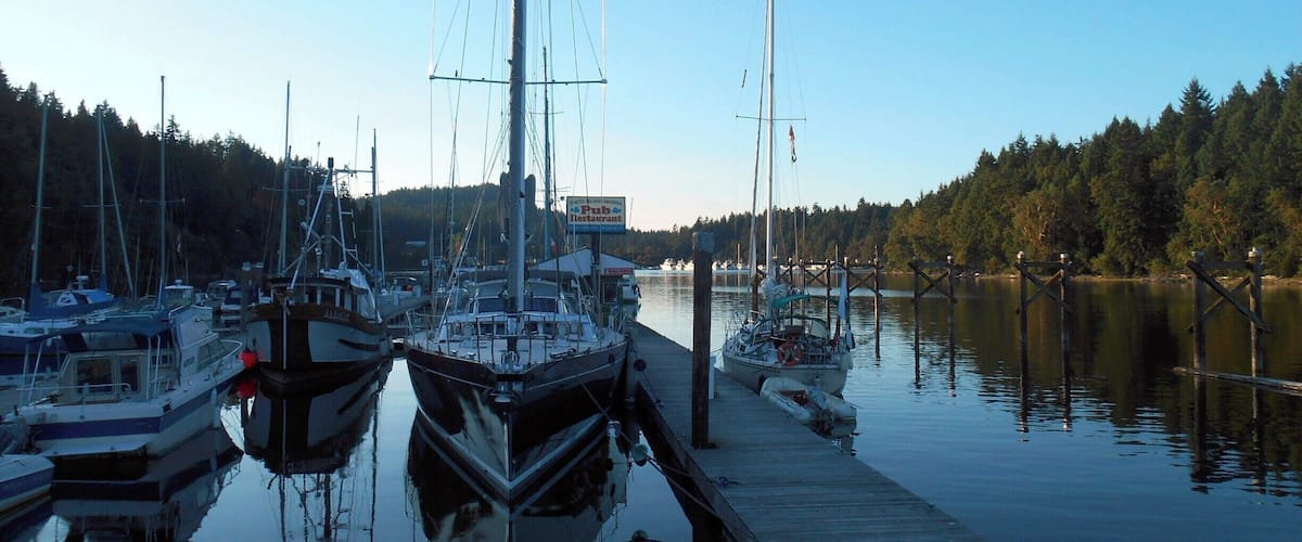 A marina with several sailboats docked, surrounded by calm water and a forested shoreline.