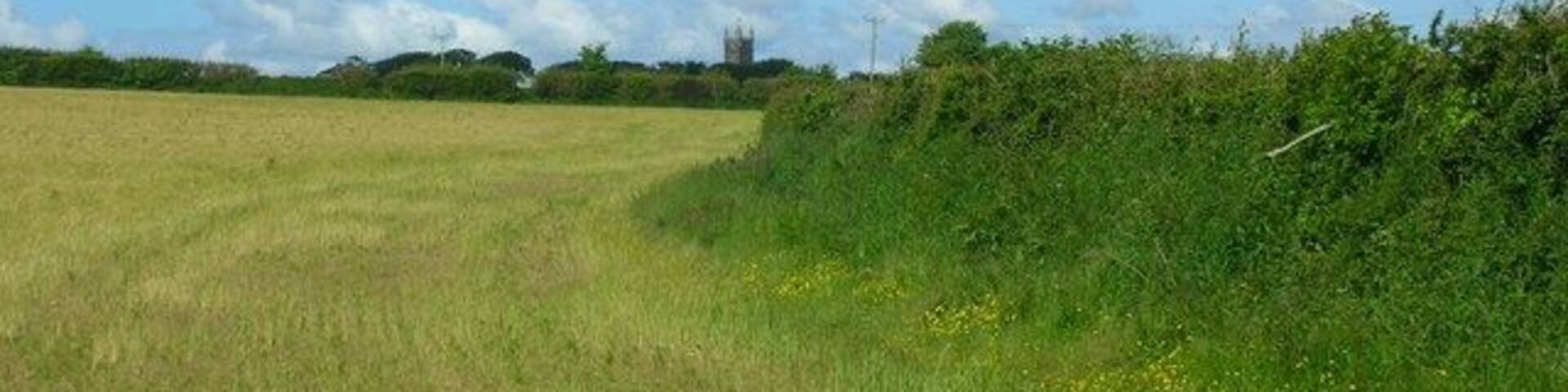 Footpath to St Mabyn The footpath runs along the side of this field almost directly towards the tower of the church