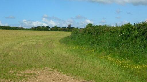 Footpath to St Mabyn The footpath runs along the side of this field almost directly towards the tower of the church