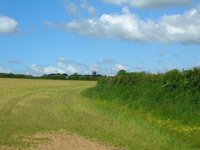 A grassy field with a hedge and a distant tower.