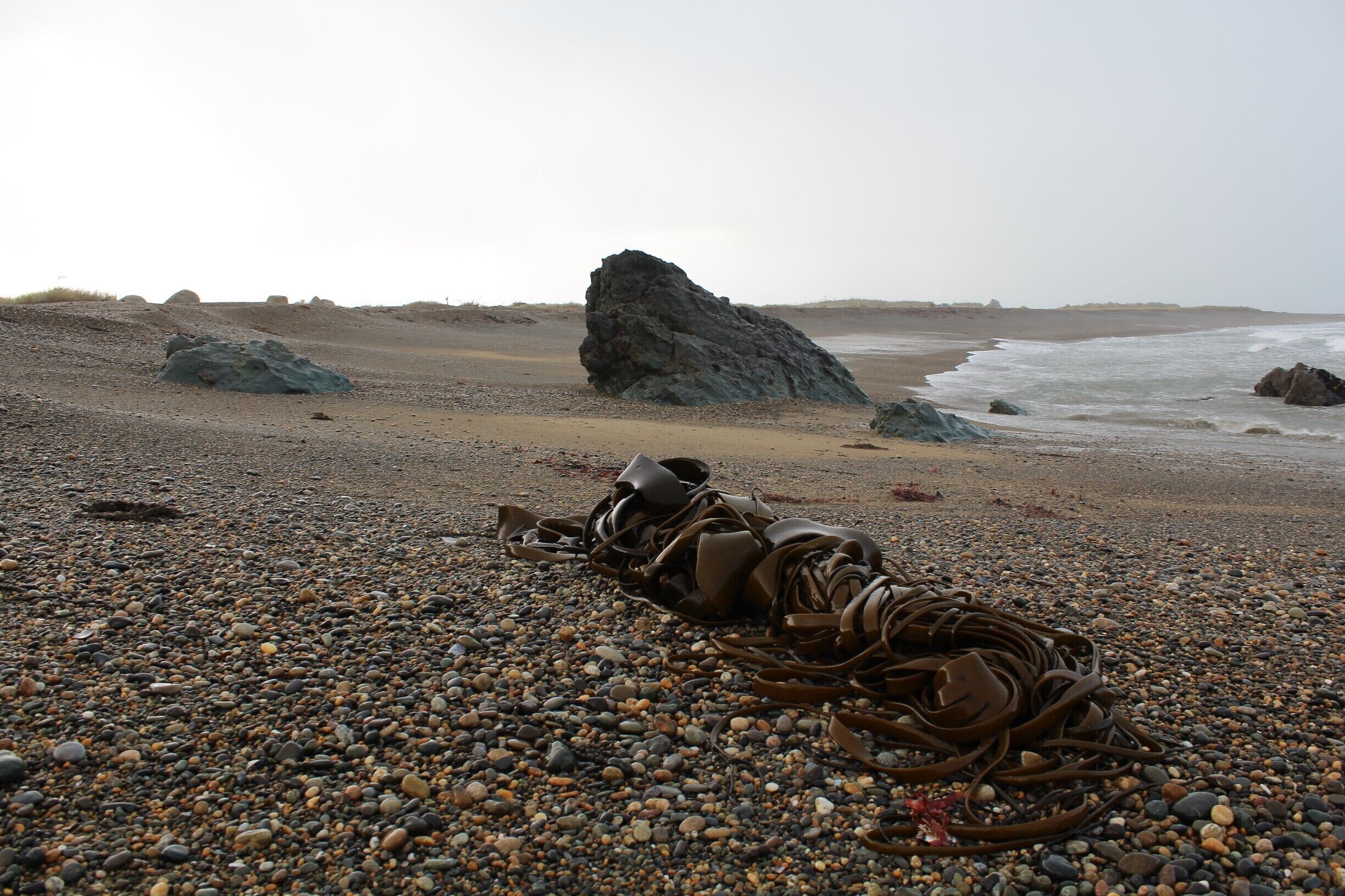 Riverton Rocks beach - rugged and exposed with views to Stewart Island on a clear day #beach 