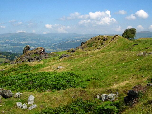 A grassy hillside with scattered rocks and a tree.