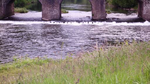 This is a photo of listed building number