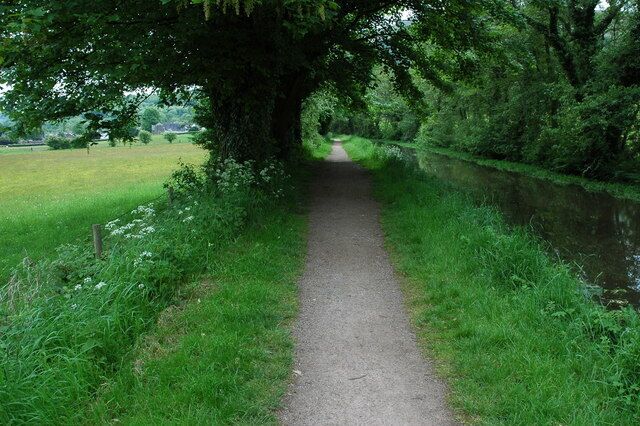 A narrow path beside a canal, surrounded by lush greenery and trees.