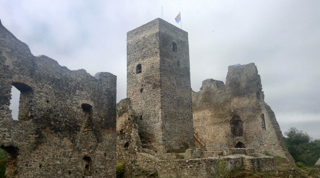 Hrad Rokštejn was built in the 13th century and destroyed during the Hussite wars in the 15th century. It has been partially renovated, and guided tours began in summer 2016 on selected weekends (includes climbing the tower).
The castle is situated on the blue hiking trail near the Brtnice river, between the town of Brtnice and the train station at Přímělkov.
#castle #hiking