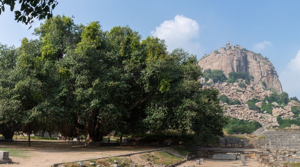 Colline Rajagiri, Fort de Gingee, Inde