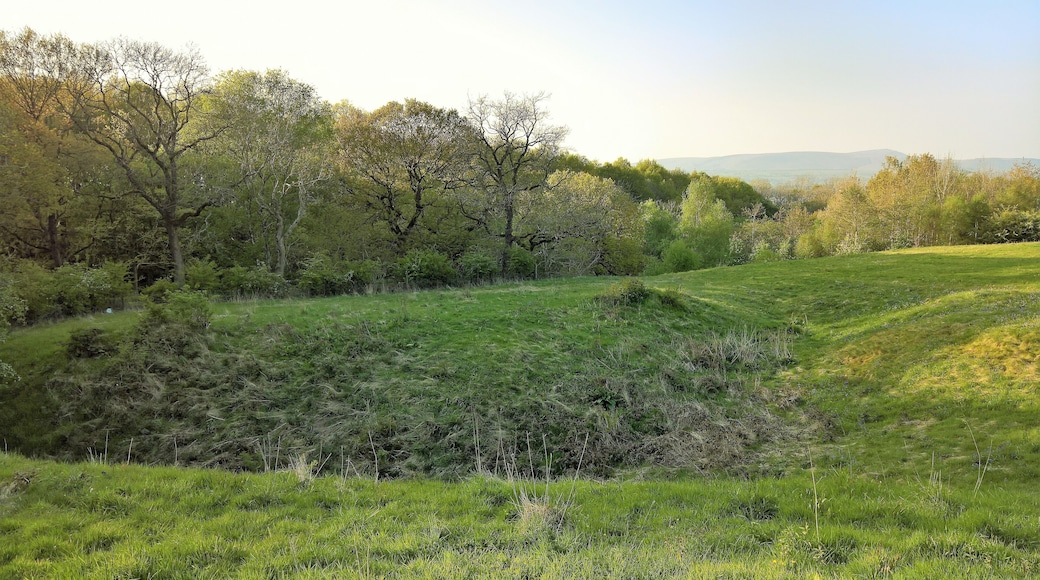 This is a photo of listed building number