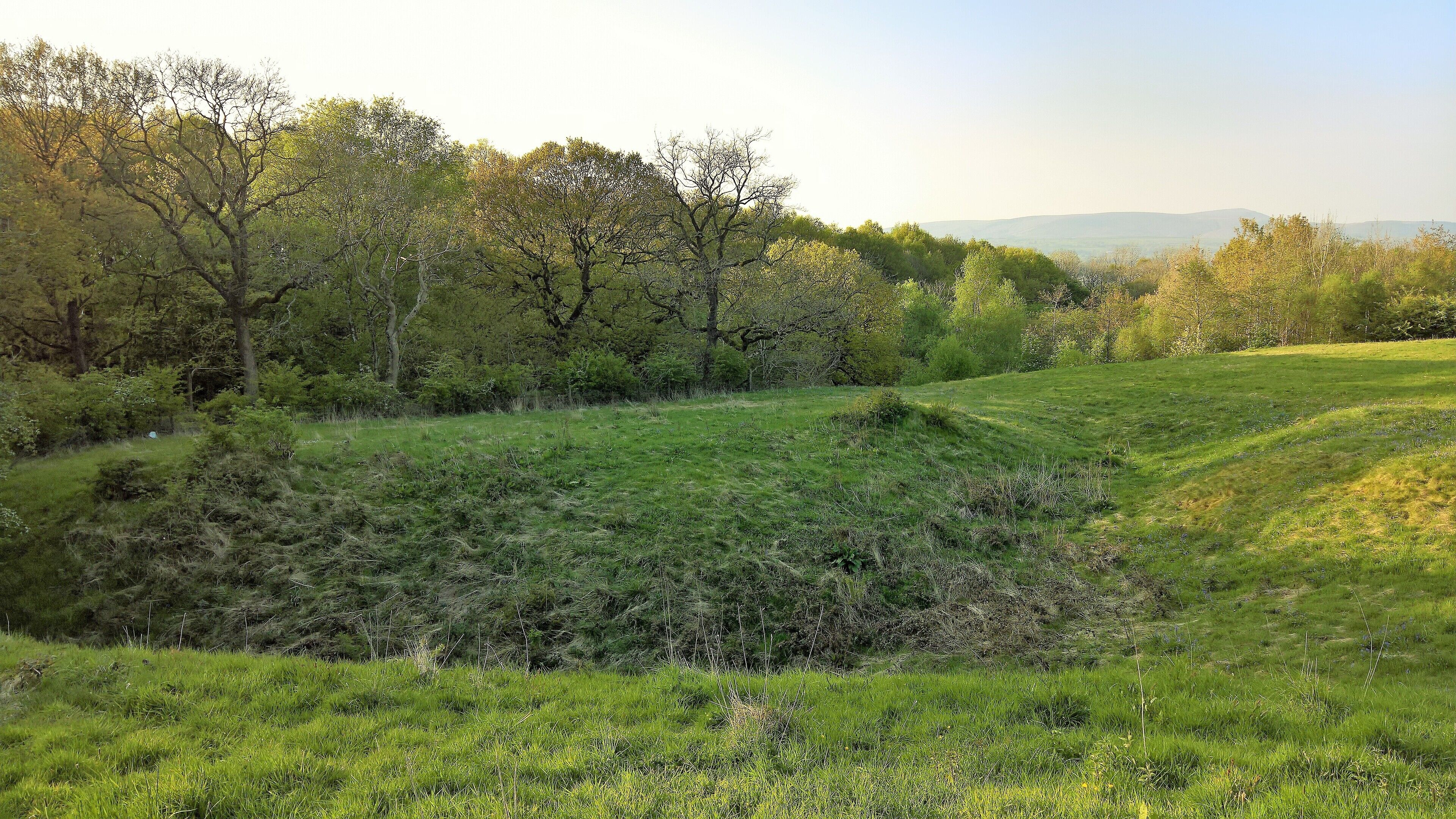 A grassy field with trees and a distant mountain range.