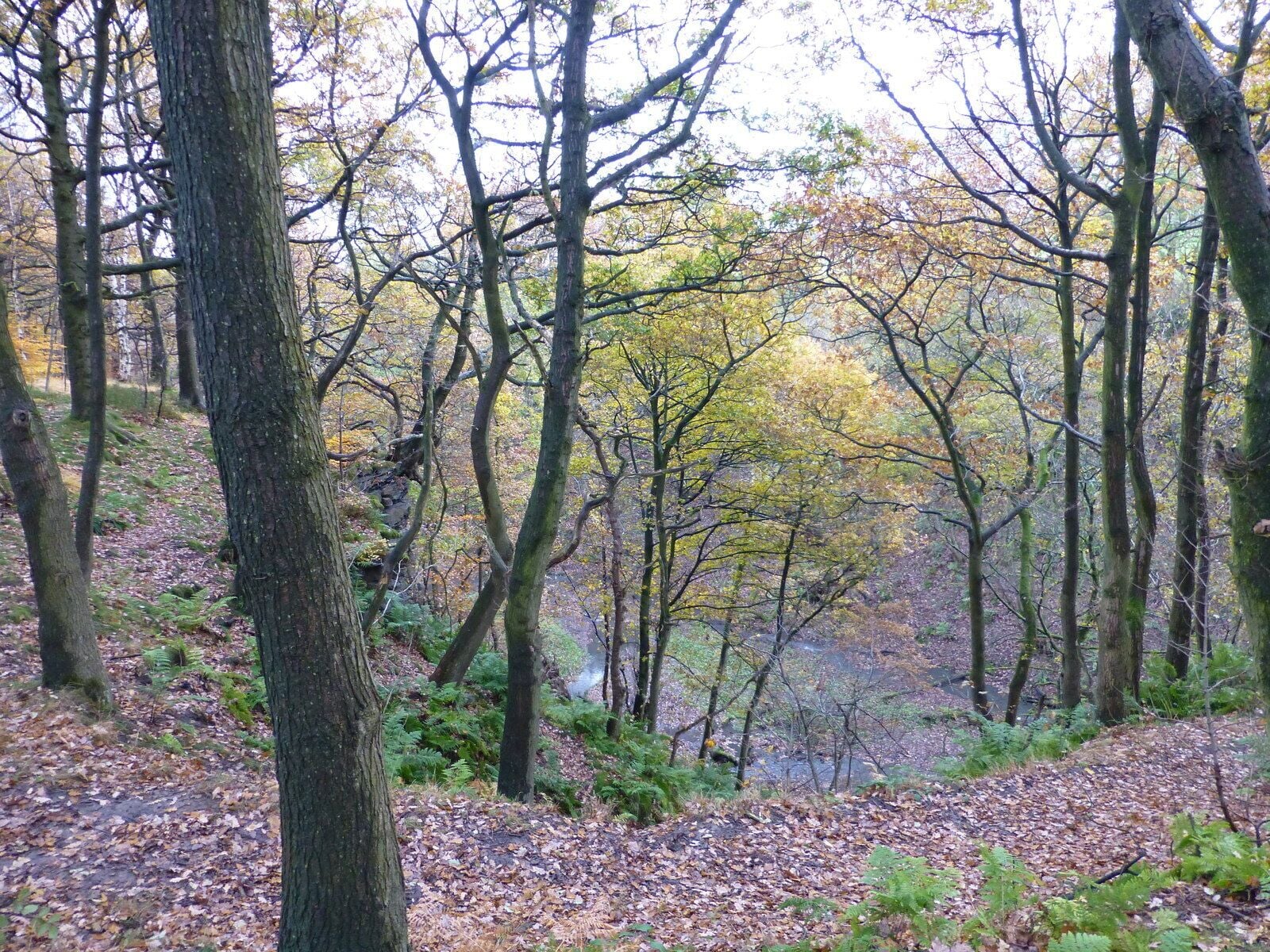 The gorge at Castle Clough in autumn