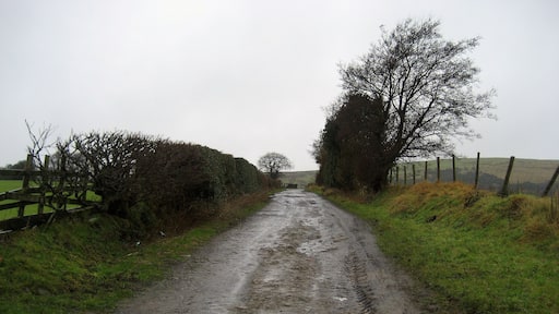 Track leading to Dean Clough Reservoir Well made track that leads from Goldacre Lane to the southern end of Dean Clough Reservoir.