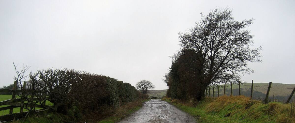 A muddy rural road flanked by hedges and fences, leading to a distant tree.