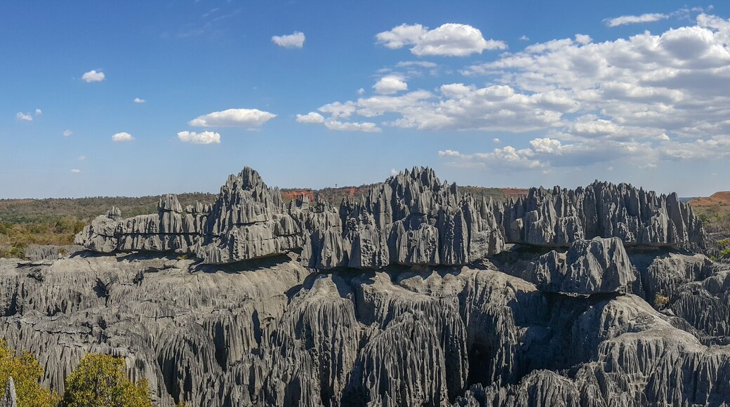 貝馬拉哈國家公園
