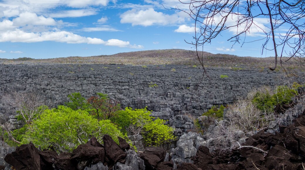 貝馬拉哈國家公園