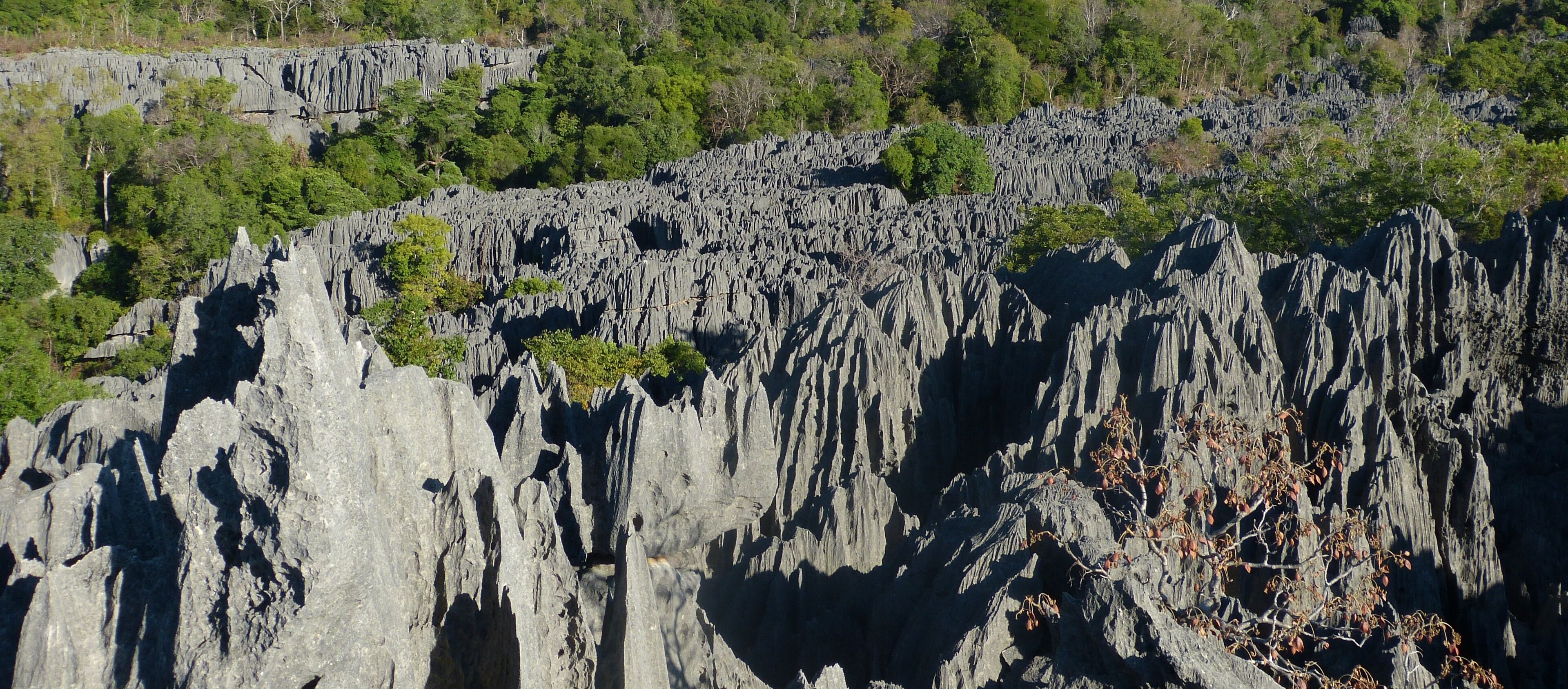 貝馬拉哈國家公園