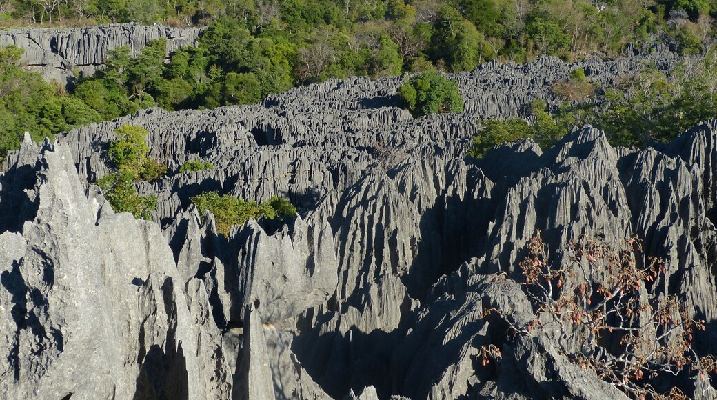 貝馬拉哈國家公園