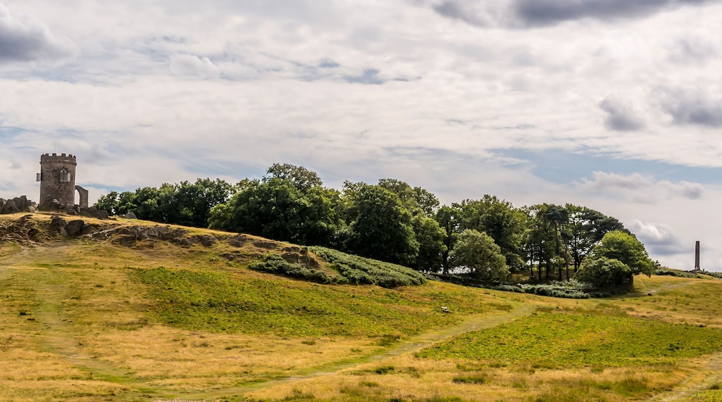 Une colline herbeuse avec une tour et des arbres.