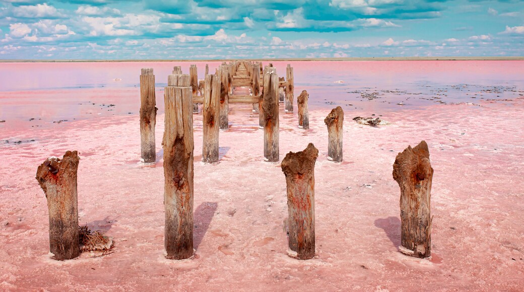 The pink lake is a beautiful landscape, unusual nature. A unique rare natural phenomenon. Salt lake with pink algae. Beautiful landscape.
